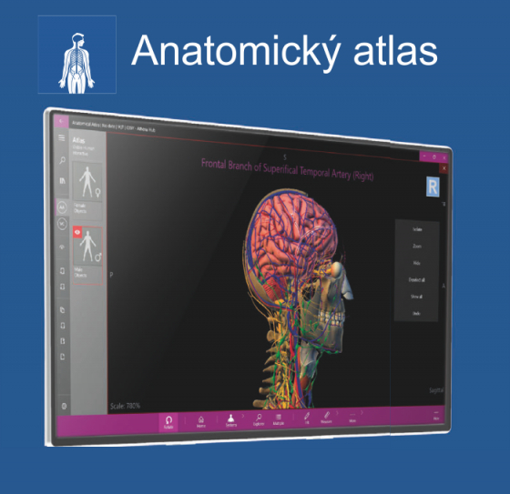 AthenaHUB-anatomický atlas